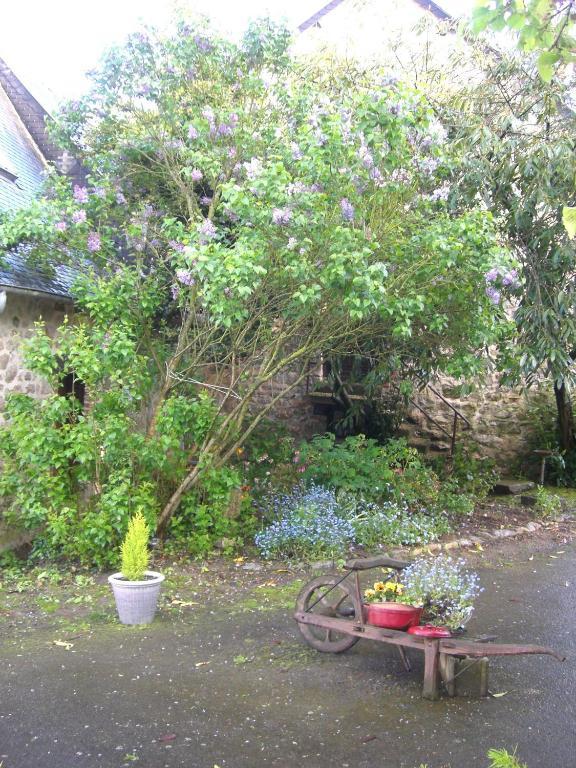 Gites De La Ferme Auberge De Mesauboin Billé Exteriör bild